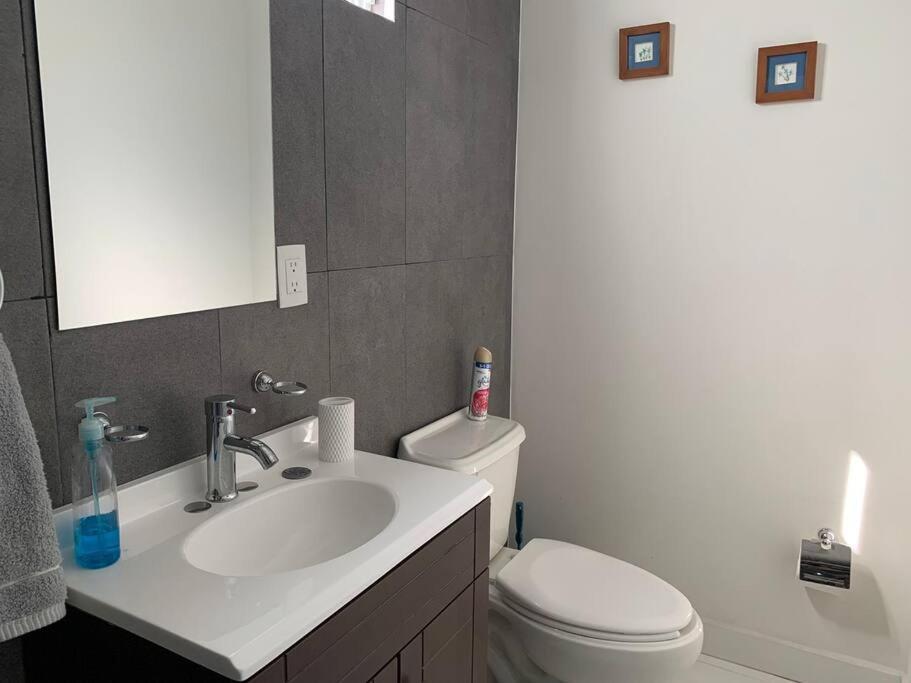Departamento Completo Y Equipado Con 2 Habitaciones Леон Екстер'єр фото